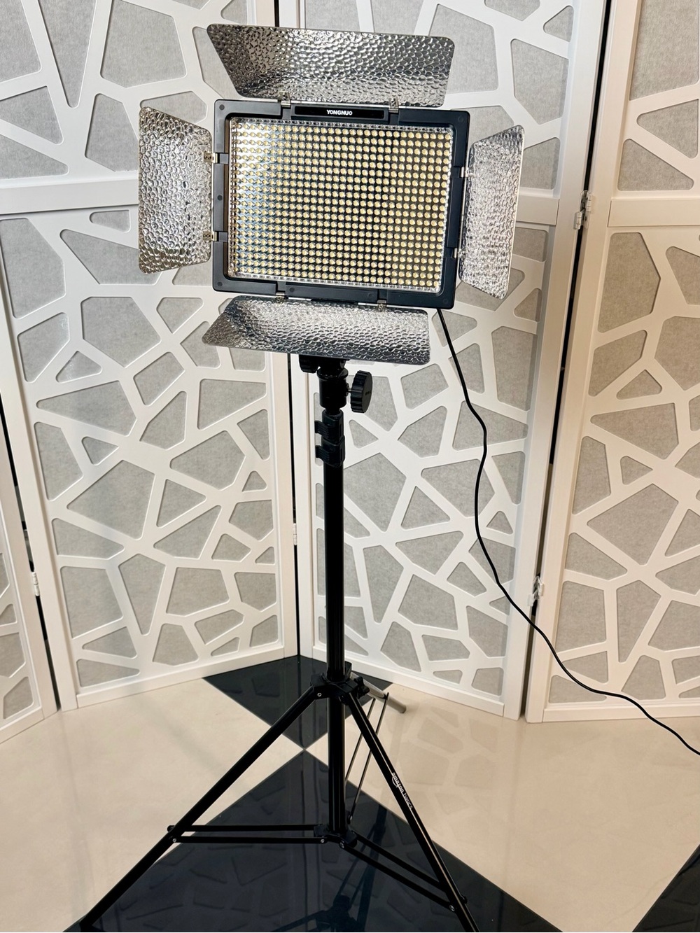 YONGNUO YN600L II LED Video Light + Stand & Power Cord